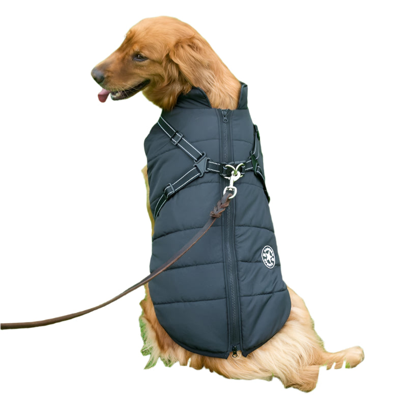 Dog wearing a black puffer vest on a grassy field