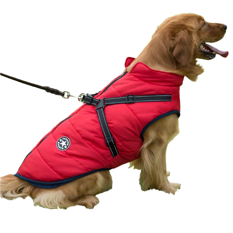 Dog wearing a red puffer vest on a grassy field