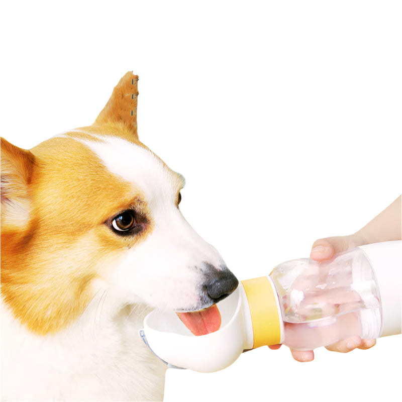 Small dog drinking from a portable pet water bottle with a wide mouth design