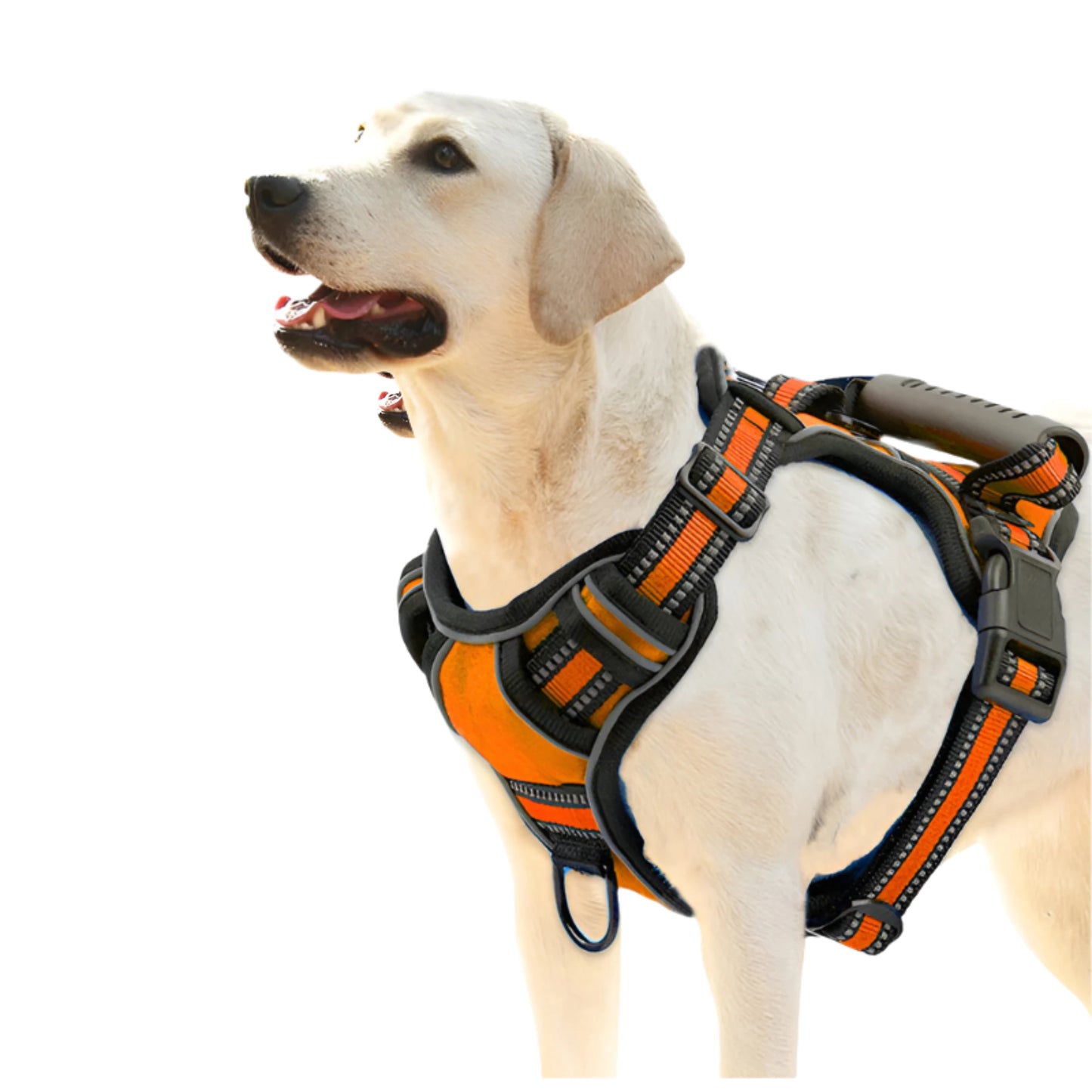 Dog Harness No Pull Breathable Reflective Pet Harness Vest - Waggloo