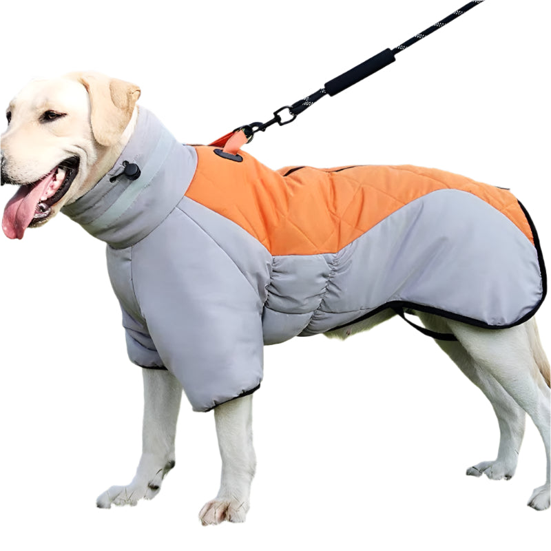 Dog wearing an orange and gray coat standing on grass