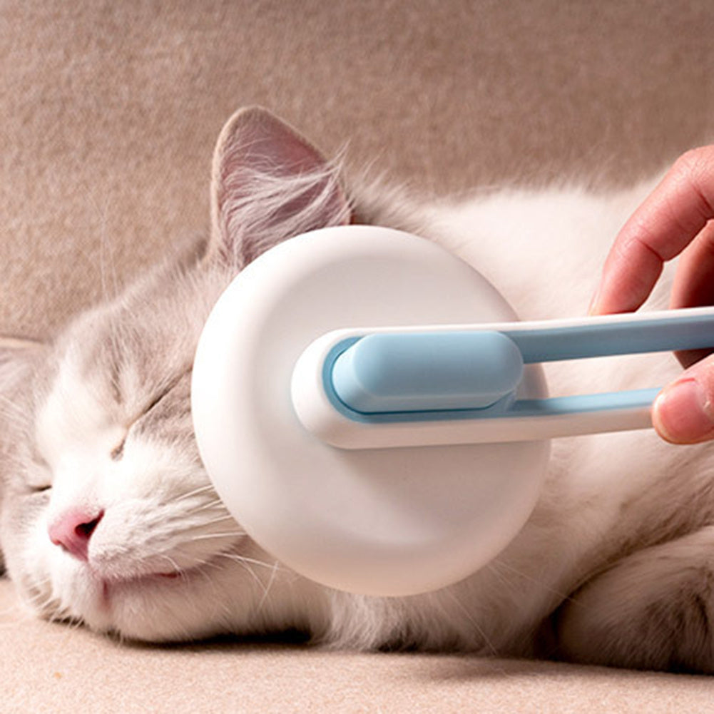 Cat being groomed with a self-grooming tool on a beige surface