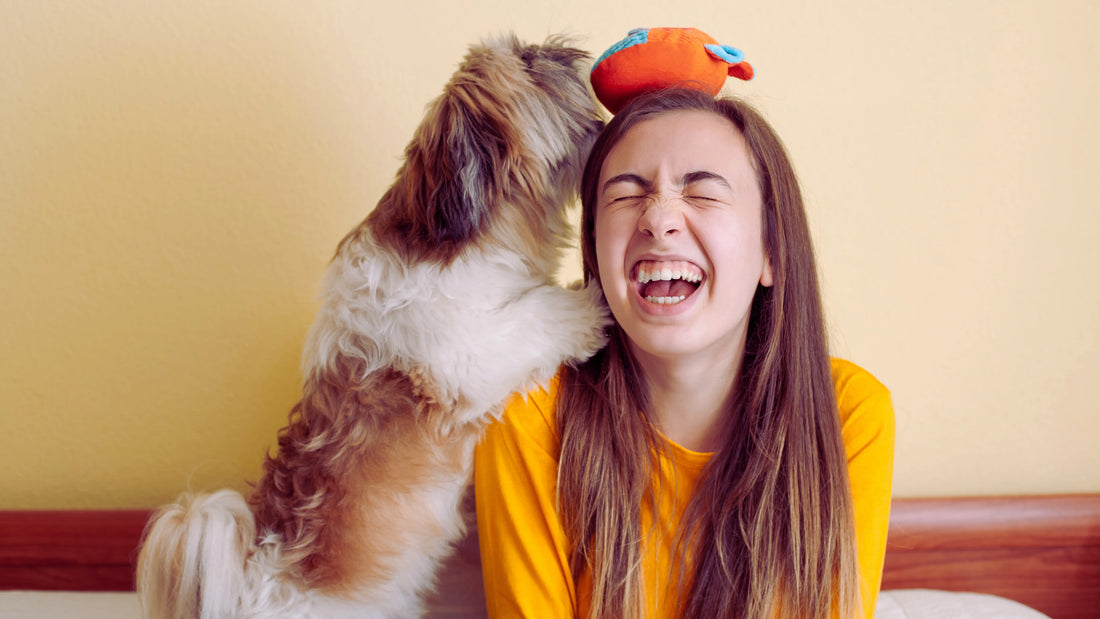 How to Keep Your Dog or Cat Happy Indoors