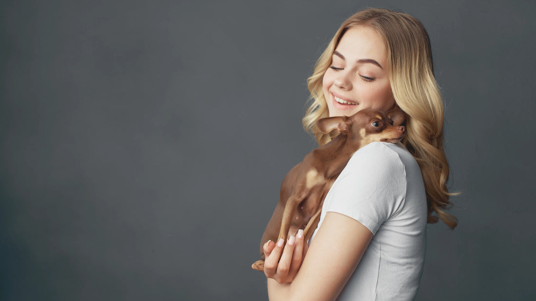The Ultimate Guide to Dog Care for First-Time Pet Parents