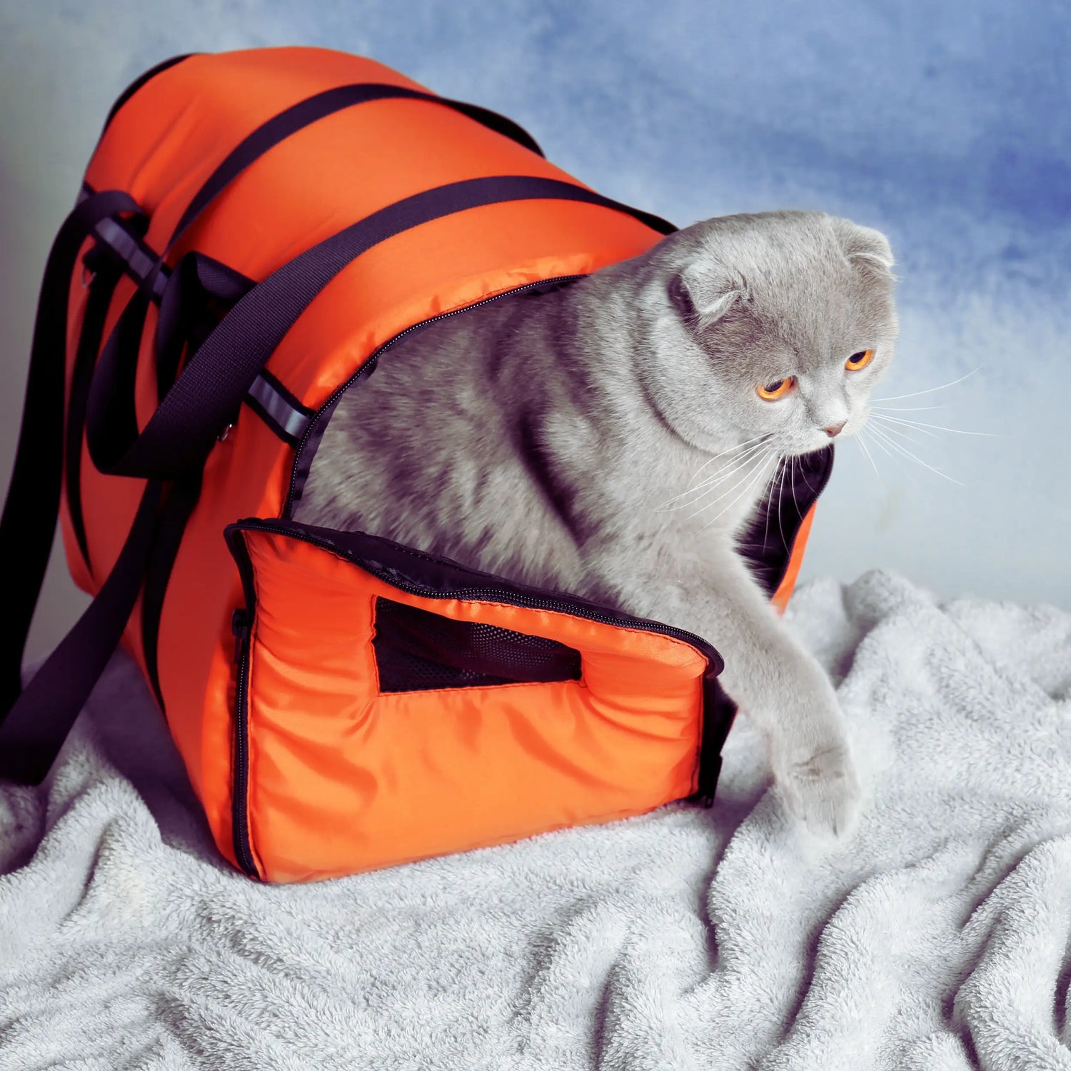 Pet Travel Bags & Backpacks