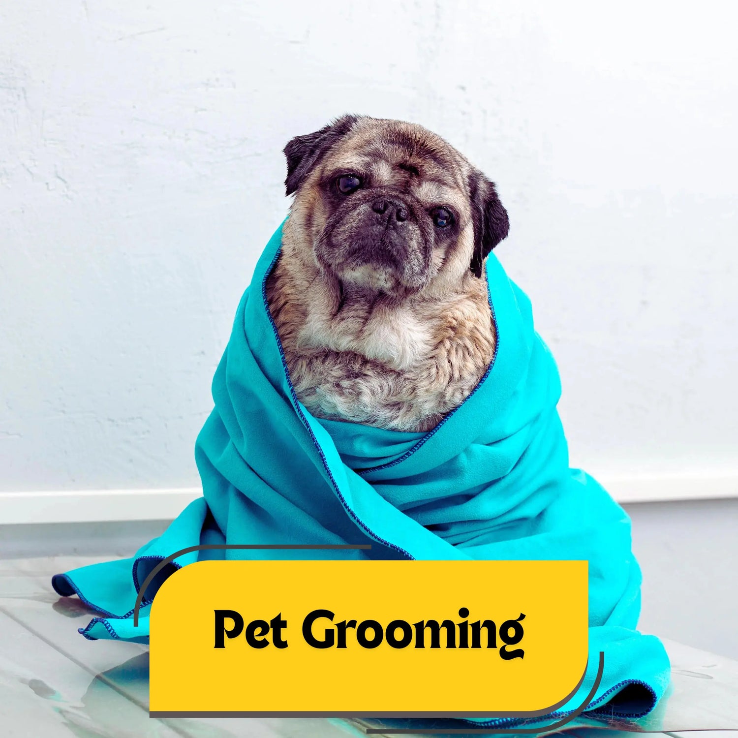 Pet Grooming