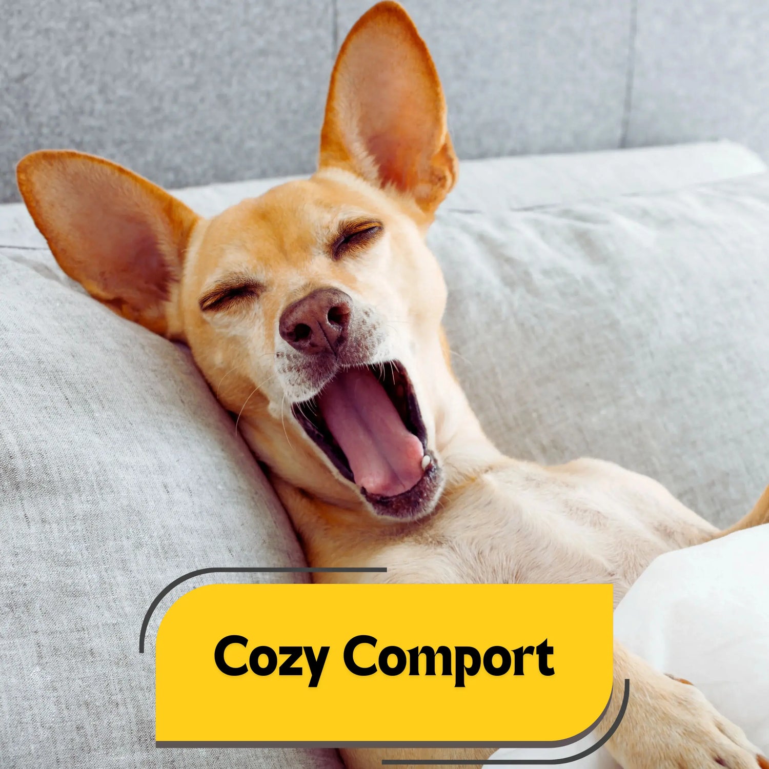 Cozy Comforts