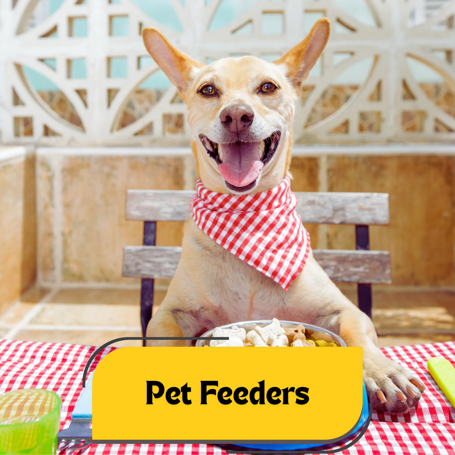 Pet Feeders for Dogs & Cats