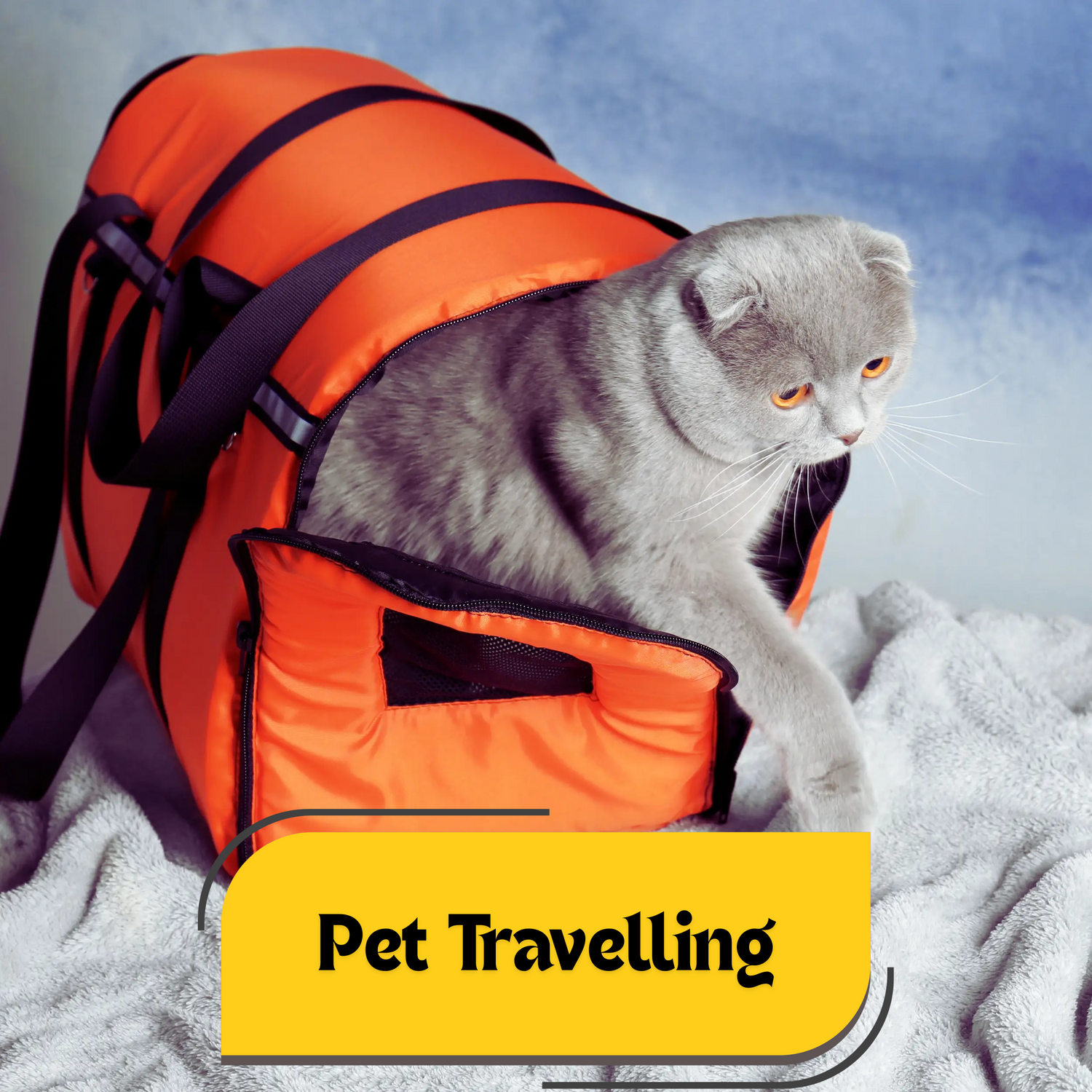 Pet Travel Bags & Backpacks