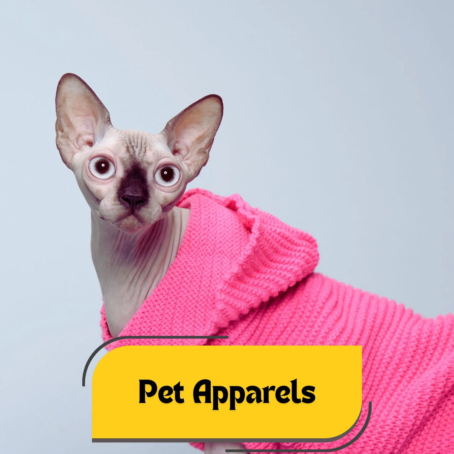 Pet Apparels