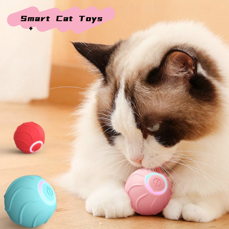 Cat playing with a pink and blue ball, with 'Smart Cat Toys' branding.