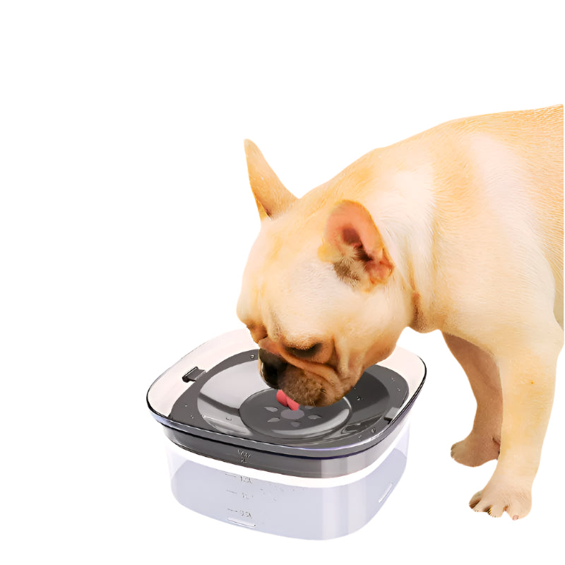 70oz Spill-Proof Dog Water Bowl – Slow Drinking, Large Capacity - Waggloo