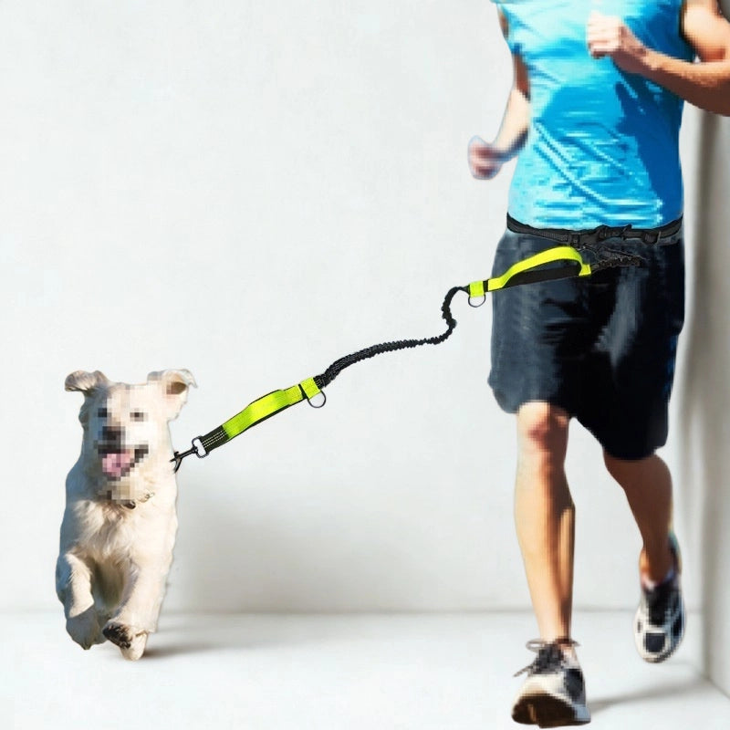 Multifunctional Pet Leash – Adjustable & Durable for Dogs - Waggloo