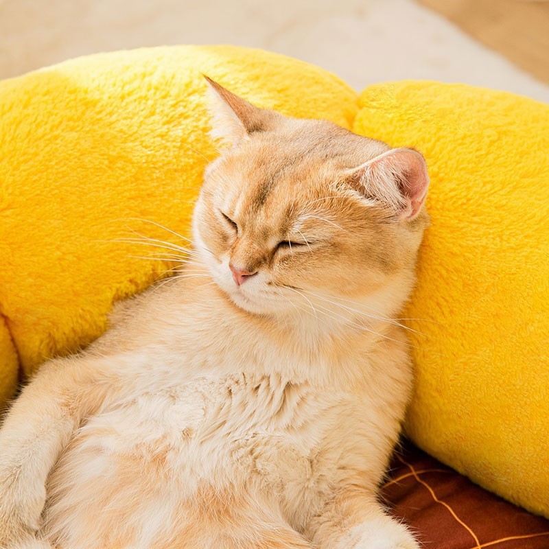 New Cat Nest Mat Pet Products - Waggloo