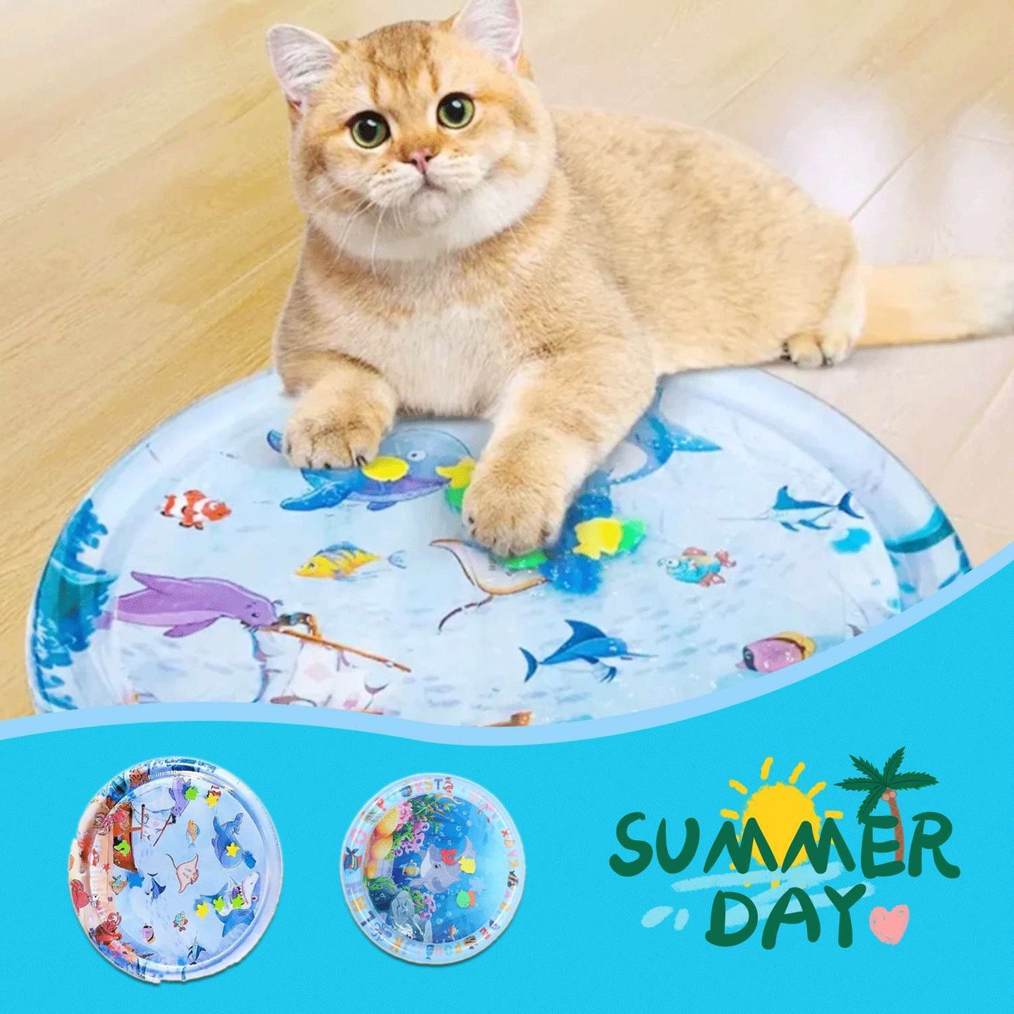Cat sitting on a inflatable pool with cartoon designs and 'Summer Day' branding.