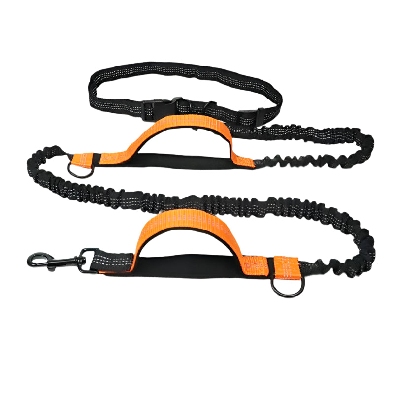 Pet Products Pet Traction Rope Multifunctional - Waggloo