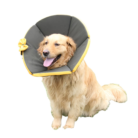 Pet Supplies Dog Sick Care Collar - Waggloo