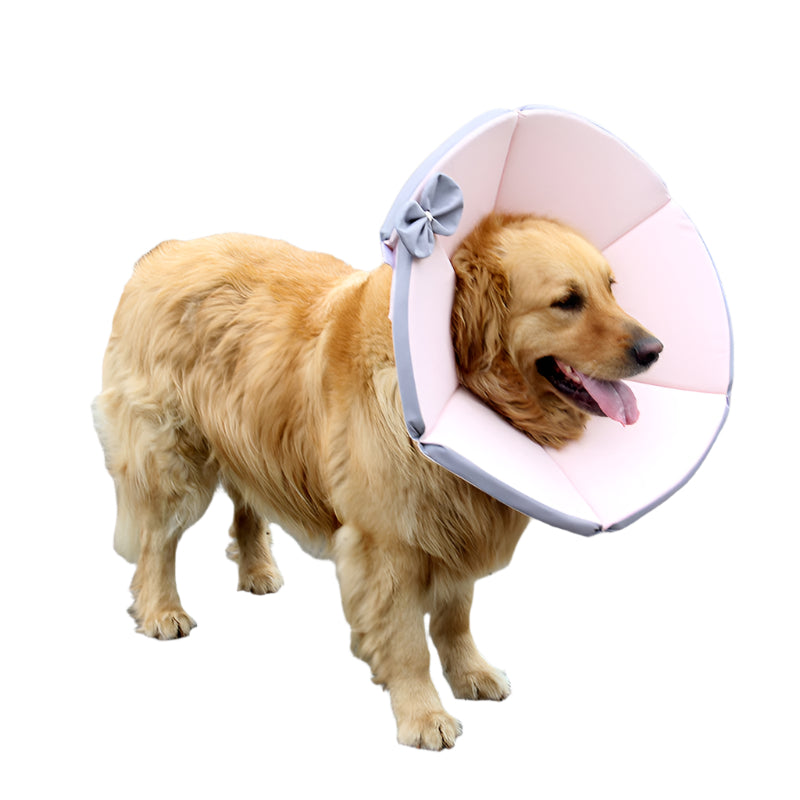 Dog wearing a pink cone collar with a bow on a stone pavement.