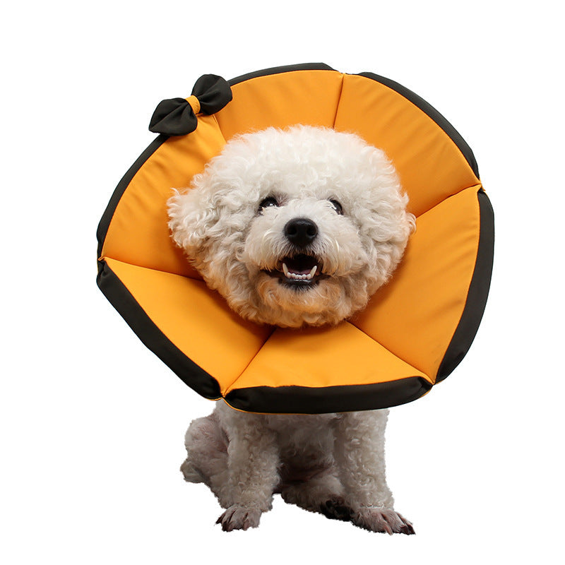 Dog wearing an orange cone-shaped pet bed with a black bow on a white background