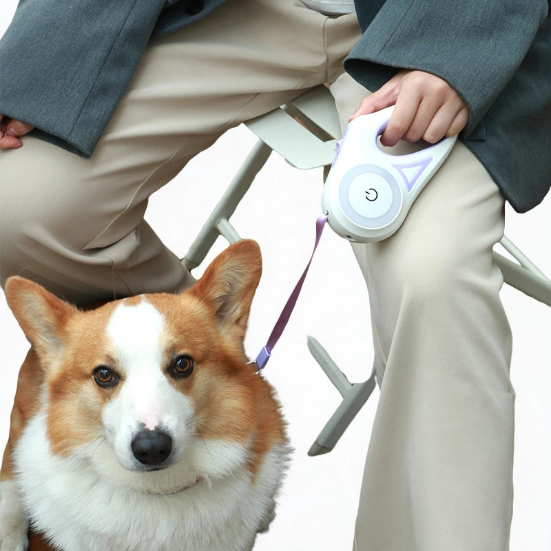 Person holding a dog training device with a corgi in front