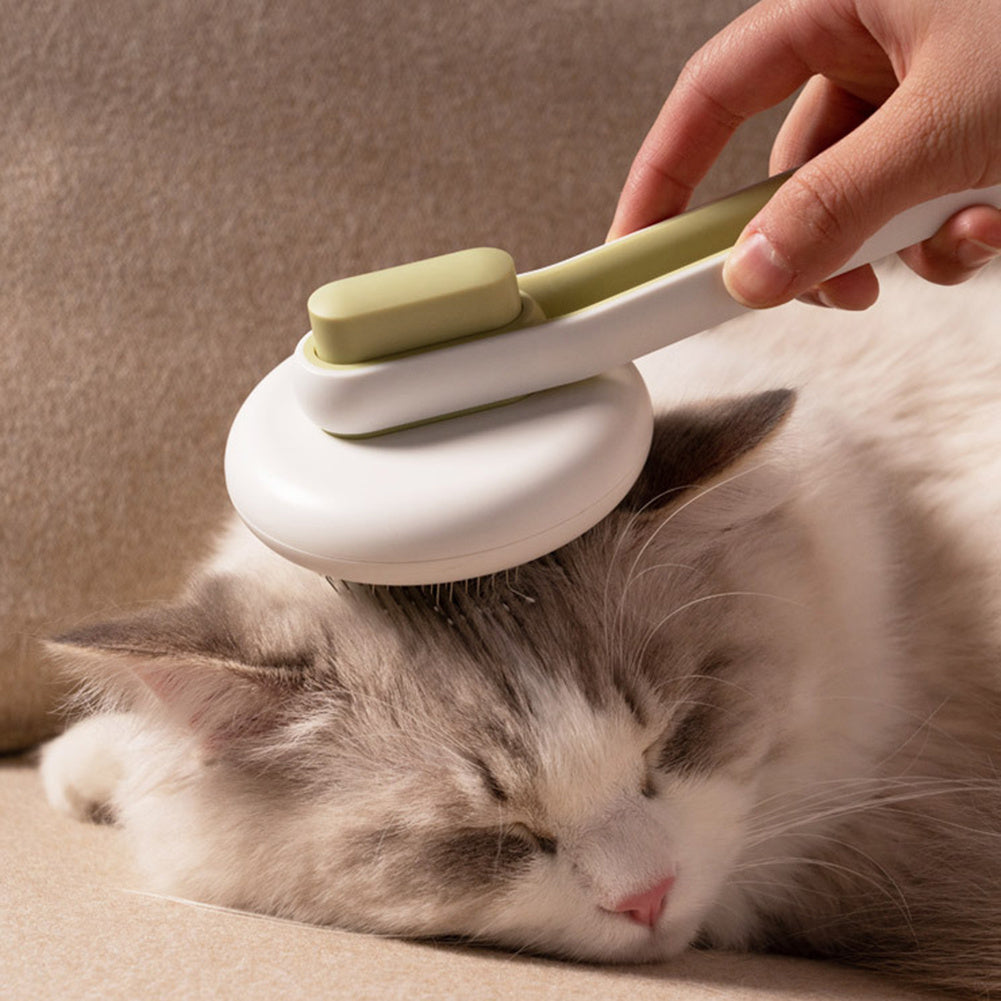 Person using a pet grooming brush on a cat
